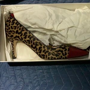 Manolo Blahnik 70mm Ponyhair Camptoe Pump, Leopard